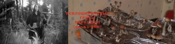 не бодяженный Белокуриха