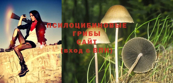 PSILOCYBIN Белоозёрский