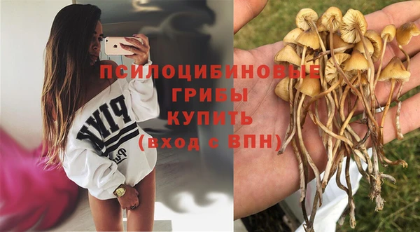 PSILOCYBIN Белоозёрский