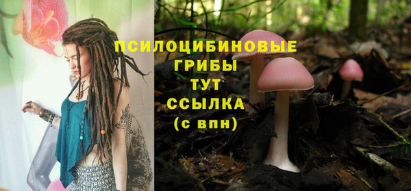 не бодяженный Белокуриха